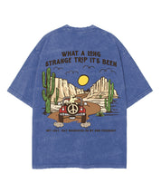 https://jollybell-1326511750.cos.accelerate.myqcloud.com/0/1024a3c9132c4061bc1137e9a8336209.png