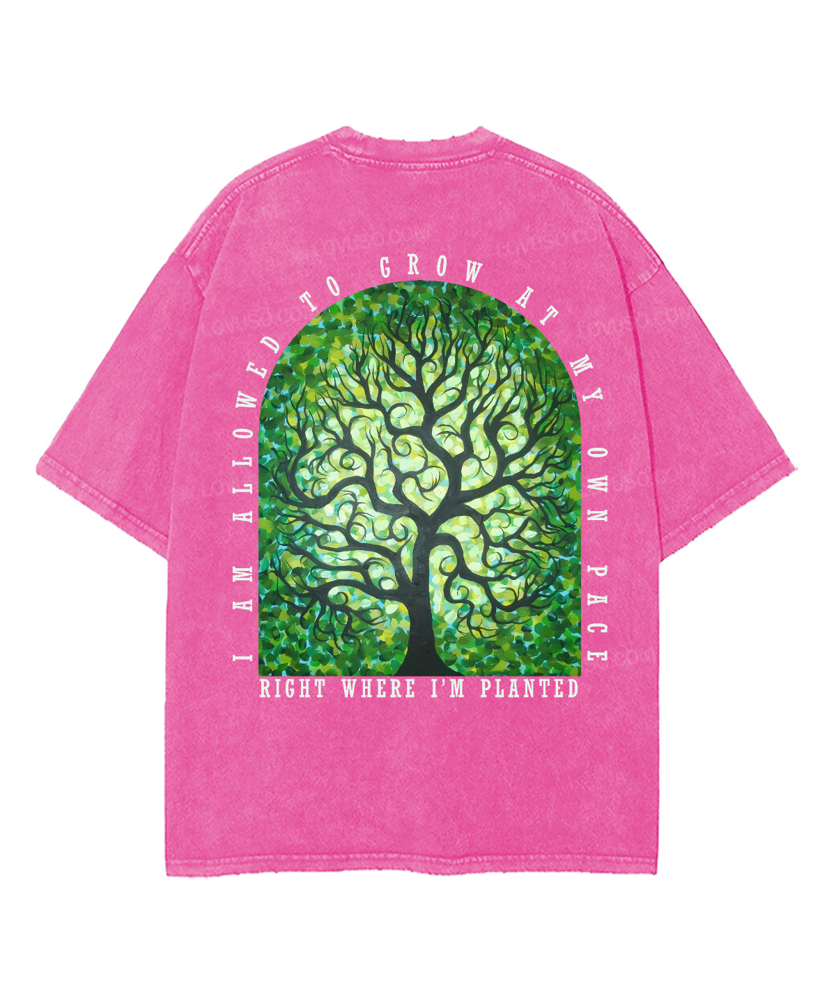 https://jollybell-1326511750.cos.accelerate.myqcloud.com/0/1398cb9dbd7c49ad97515a47a8addbf1.png