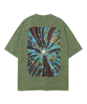 https://jollybell-1326511750.cos.accelerate.myqcloud.com/0/1685bd9eba2c4cd1af1c66927ba9fef6.png