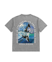https://jollybell-1326511750.cos.accelerate.myqcloud.com/0/16fd3c9106604b81a2dd949be6be72a3.png