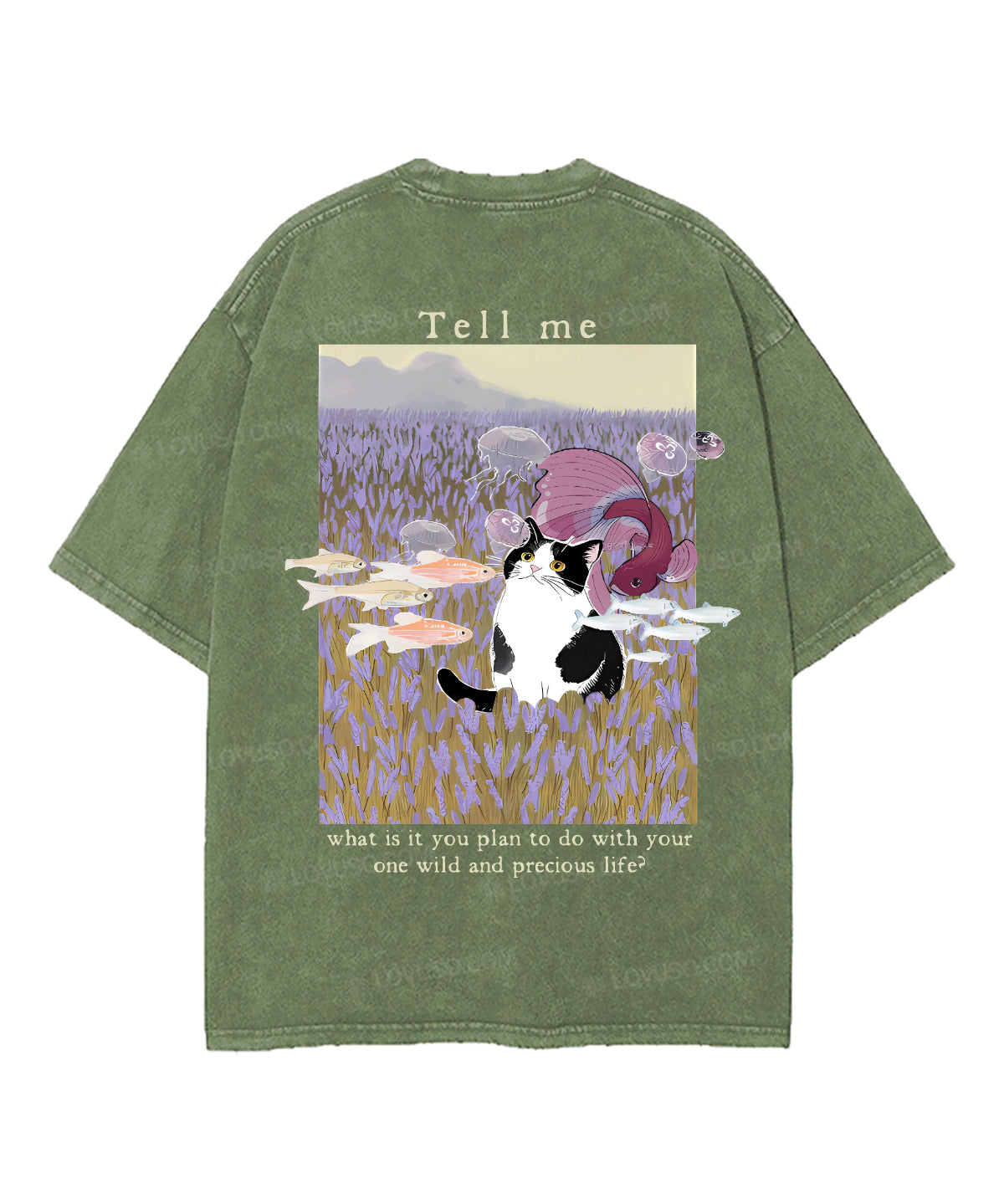 https://jollybell-1326511750.cos.accelerate.myqcloud.com/0/191e1ba44dbb4df098026569d2d62a0c.png