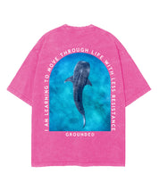 https://jollybell-1326511750.cos.accelerate.myqcloud.com/0/23ba32d270aa4fa4a42b8a560c66a859.png