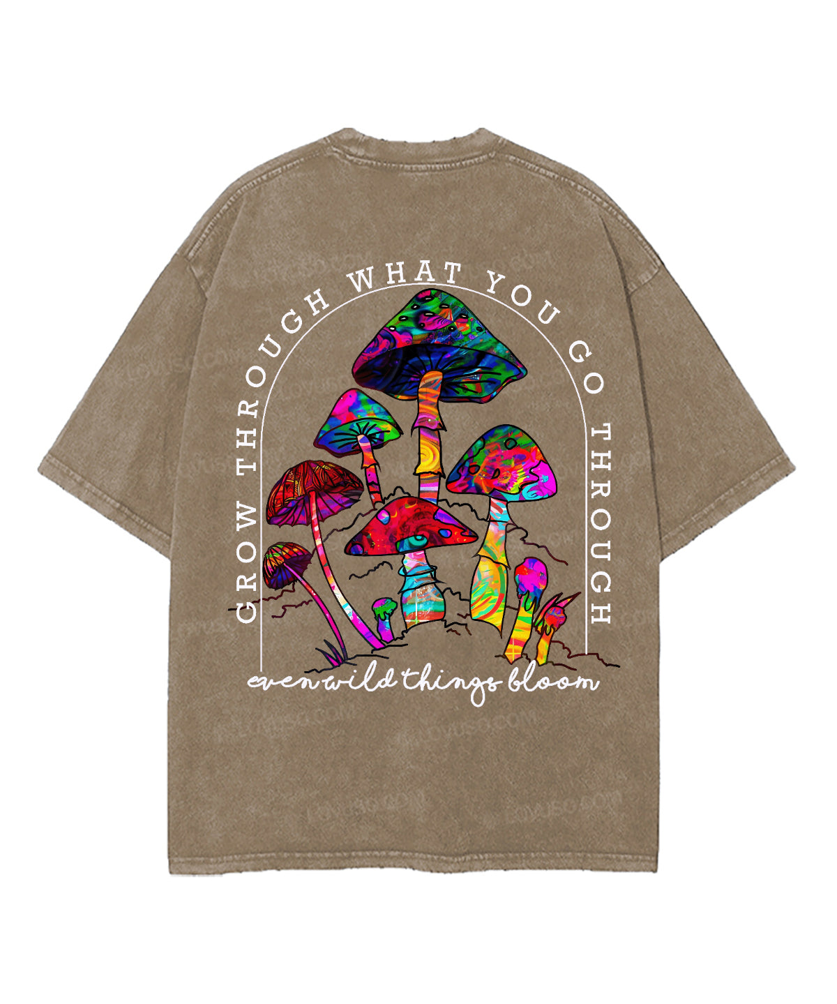 https://jollybell-1326511750.cos.accelerate.myqcloud.com/0/2cb8231b5df94dae9195bddfea48c3e7.png