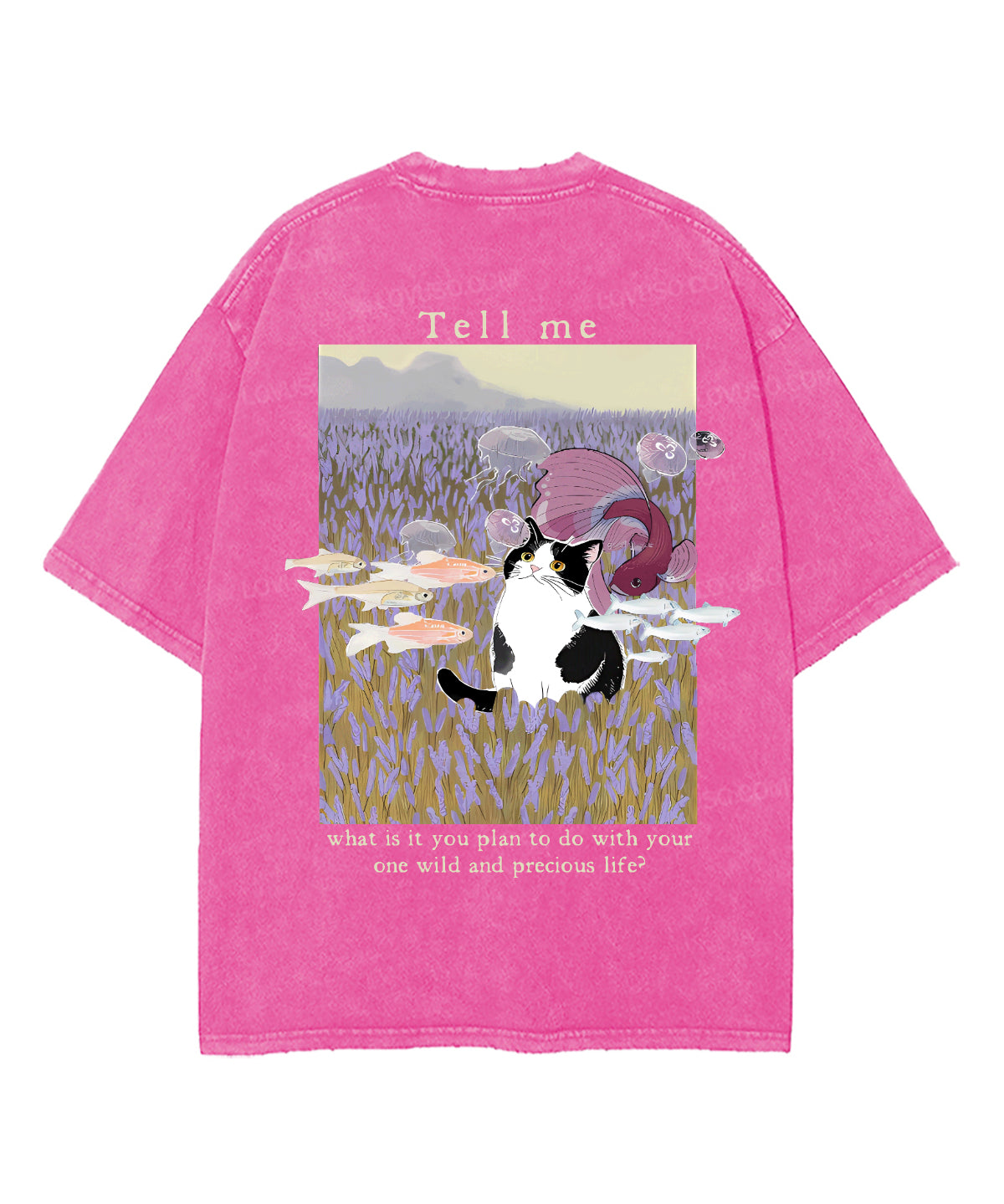 https://jollybell-1326511750.cos.accelerate.myqcloud.com/0/321ffd615f314827af77632d6db9c16f.png