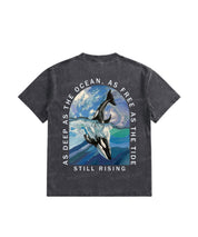 https://jollybell-1326511750.cos.accelerate.myqcloud.com/0/32bed03cf0284f18a29d56a653df34f0.png