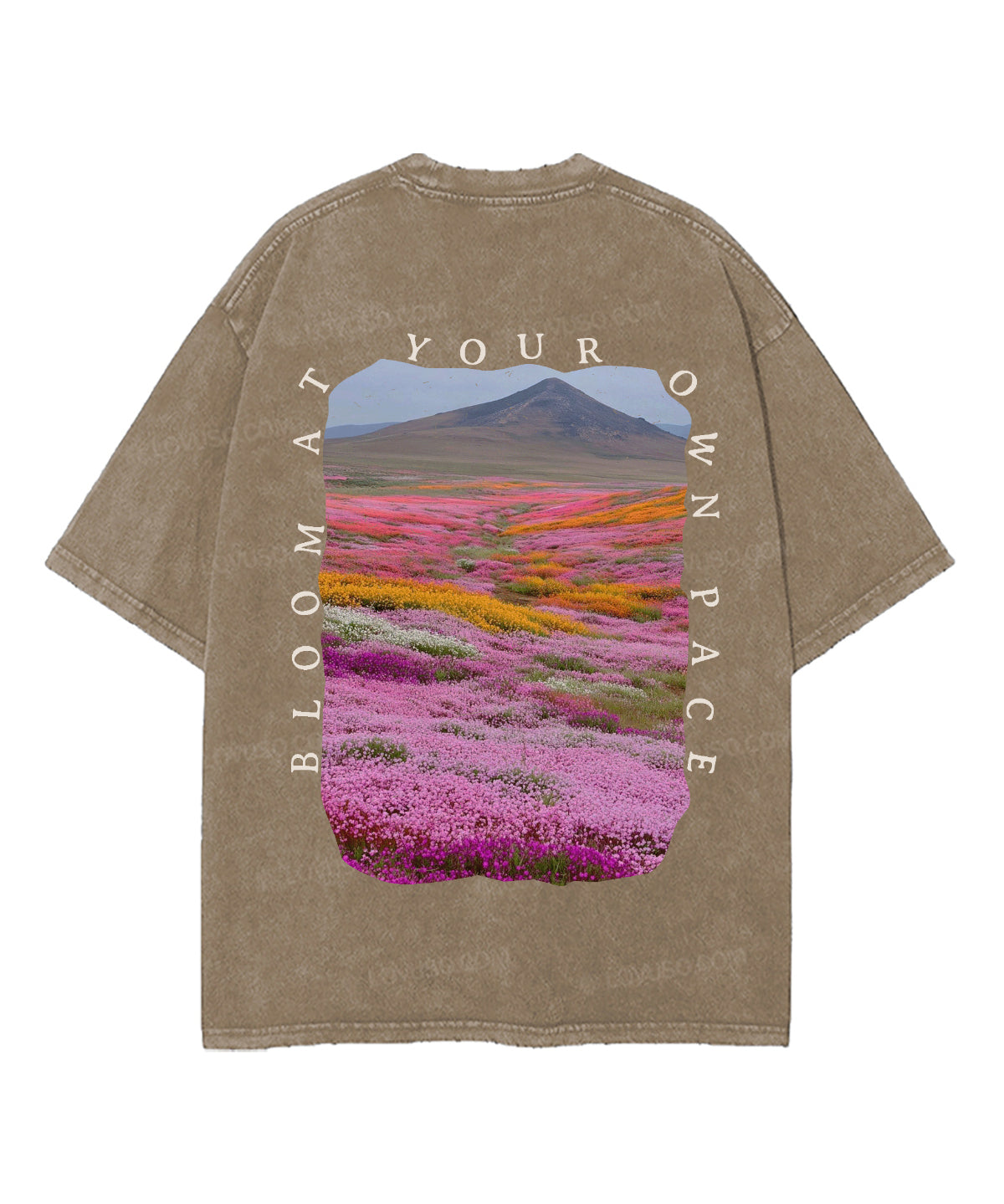 https://jollybell-1326511750.cos.accelerate.myqcloud.com/0/32c7f206b01d4785a4b1fe72dbb02f0a.png