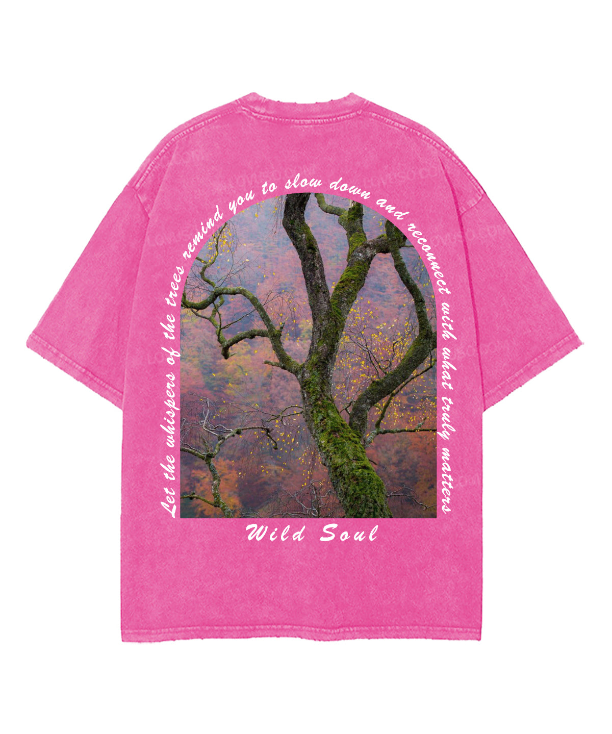 https://jollybell-1326511750.cos.accelerate.myqcloud.com/0/358c42fcaefc4bb7a3aa88492a6f406a.png