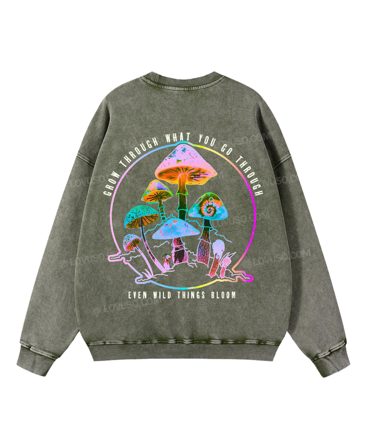https://jollybell-1326511750.cos.accelerate.myqcloud.com/0/35effd290b0444f99bf711e533c783d7.png