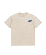 https://jollybell-1326511750.cos.accelerate.myqcloud.com/0/369d6bcabc6842cf949af64718d724db.png