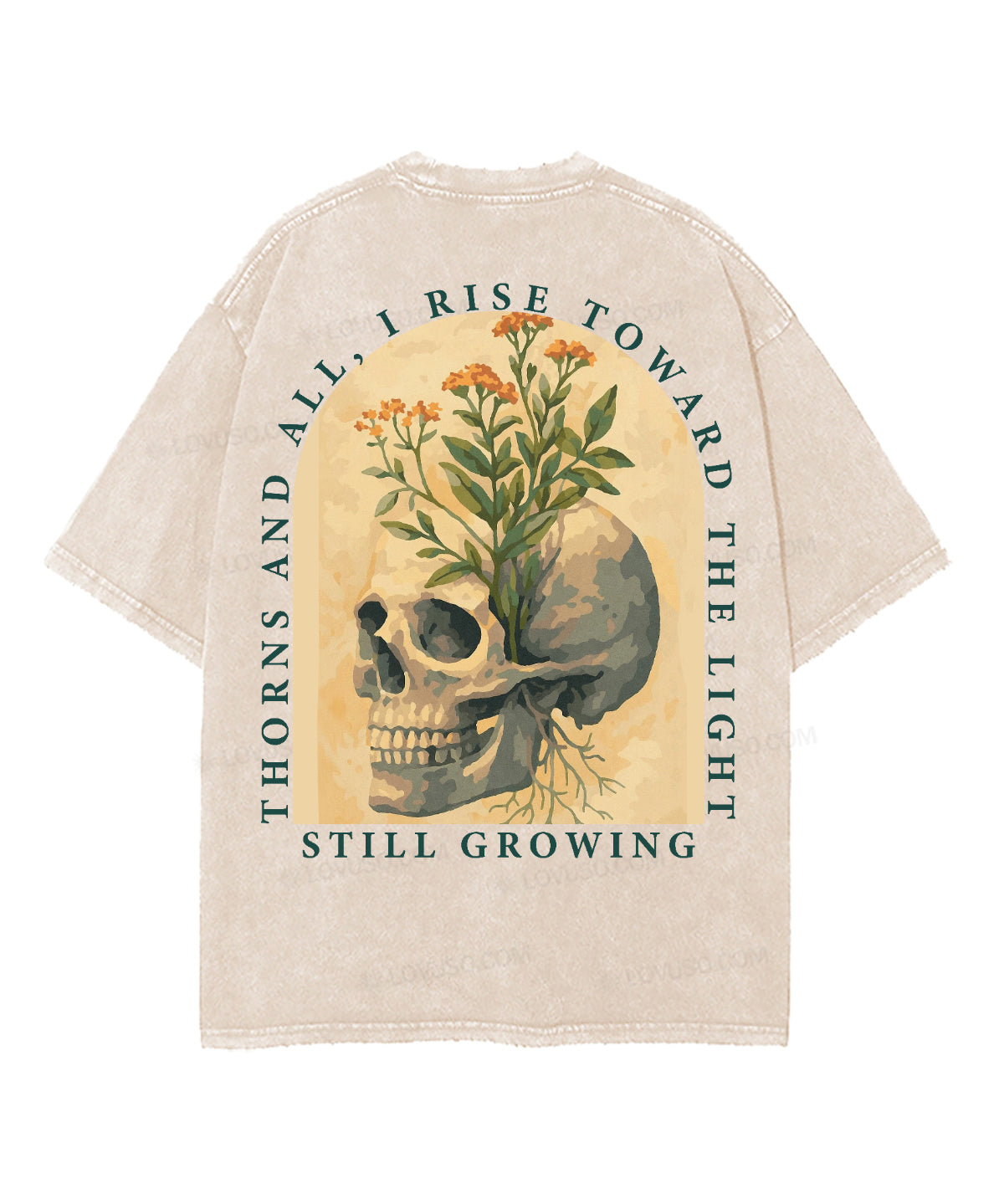 https://jollybell-1326511750.cos.accelerate.myqcloud.com/0/37a315ddd1094e5aa668f3a1a7b3de1b.png