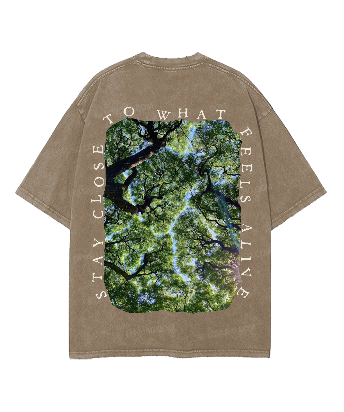https://jollybell-1326511750.cos.accelerate.myqcloud.com/0/4973af141edf423b92aa85a303783b14.png