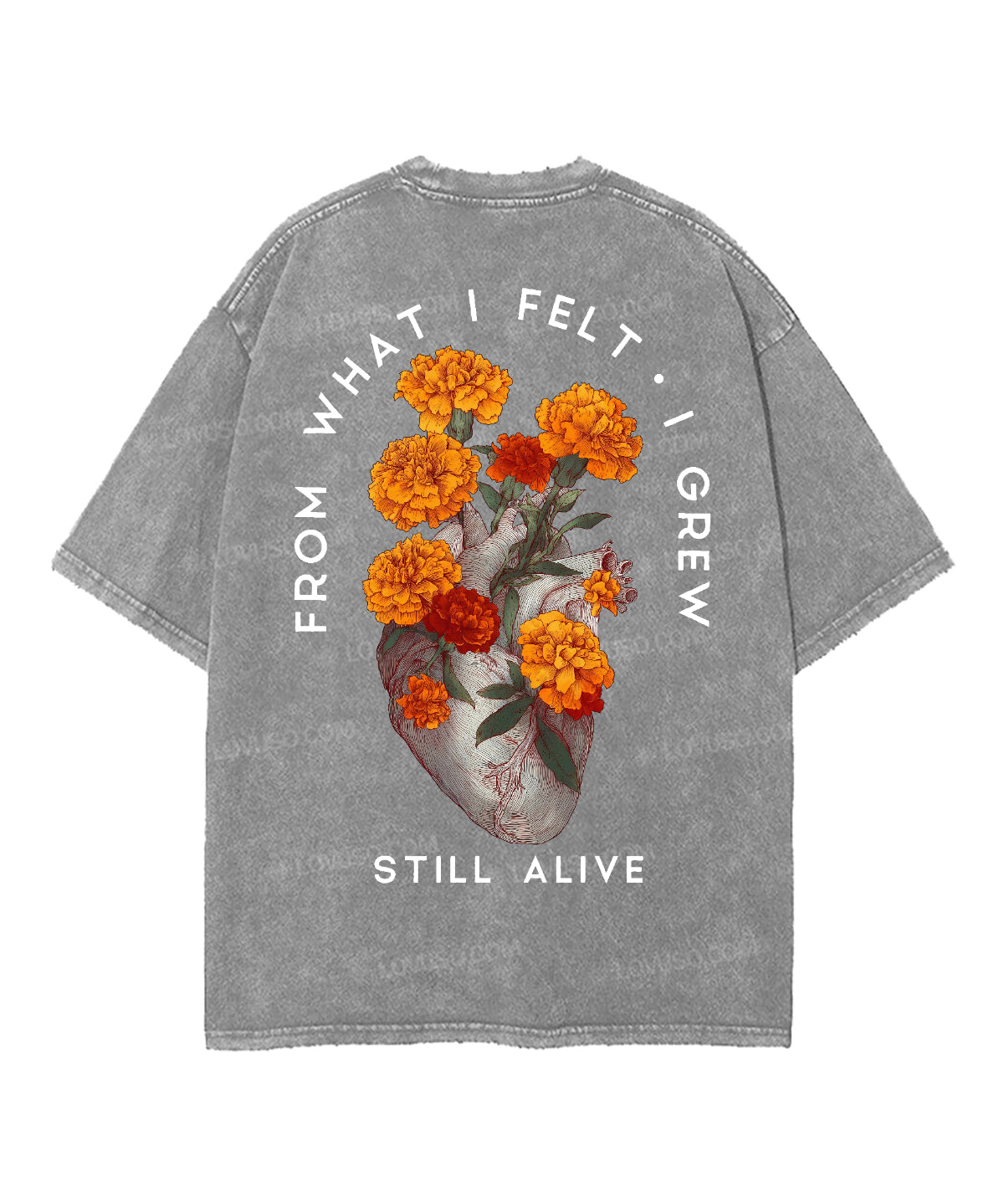 https://jollybell-1326511750.cos.accelerate.myqcloud.com/0/4da96d0e432749d5b9aec37ddcf684c1.png
