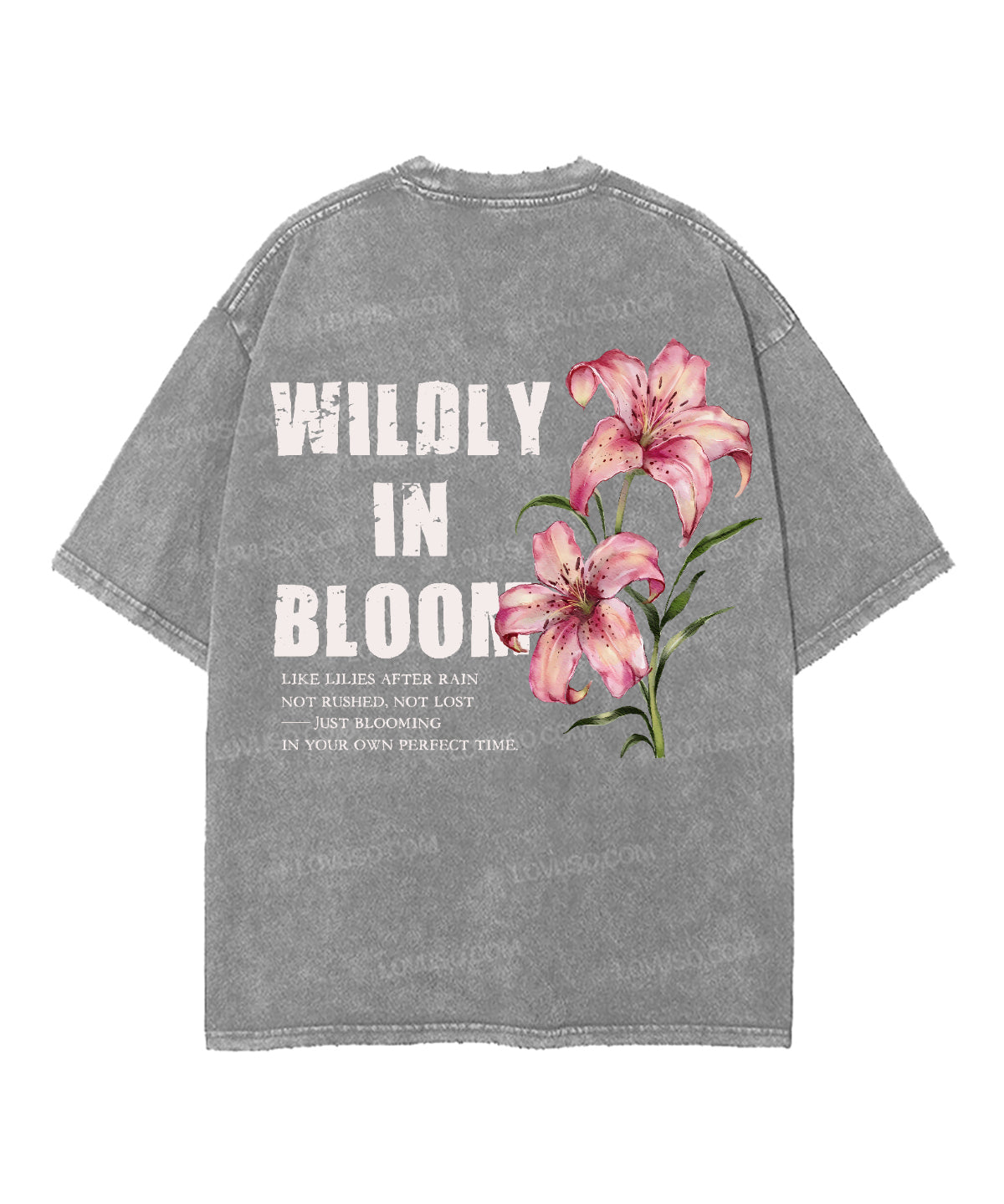 https://jollybell-1326511750.cos.accelerate.myqcloud.com/0/54f33570e63244ab89a26b73c0740ad1.png