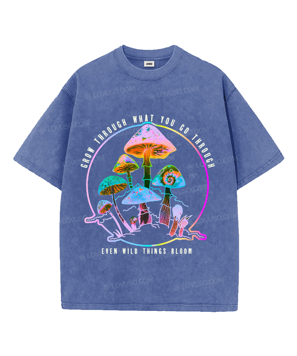 https://jollybell-1326511750.cos.accelerate.myqcloud.com/0/5c423fcff35646c78617d1a8be094c0a.png