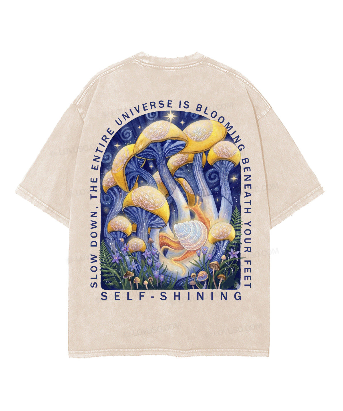 https://jollybell-1326511750.cos.accelerate.myqcloud.com/0/5f312c4d5fad4c96b9ee1fd51a86e8f1.png