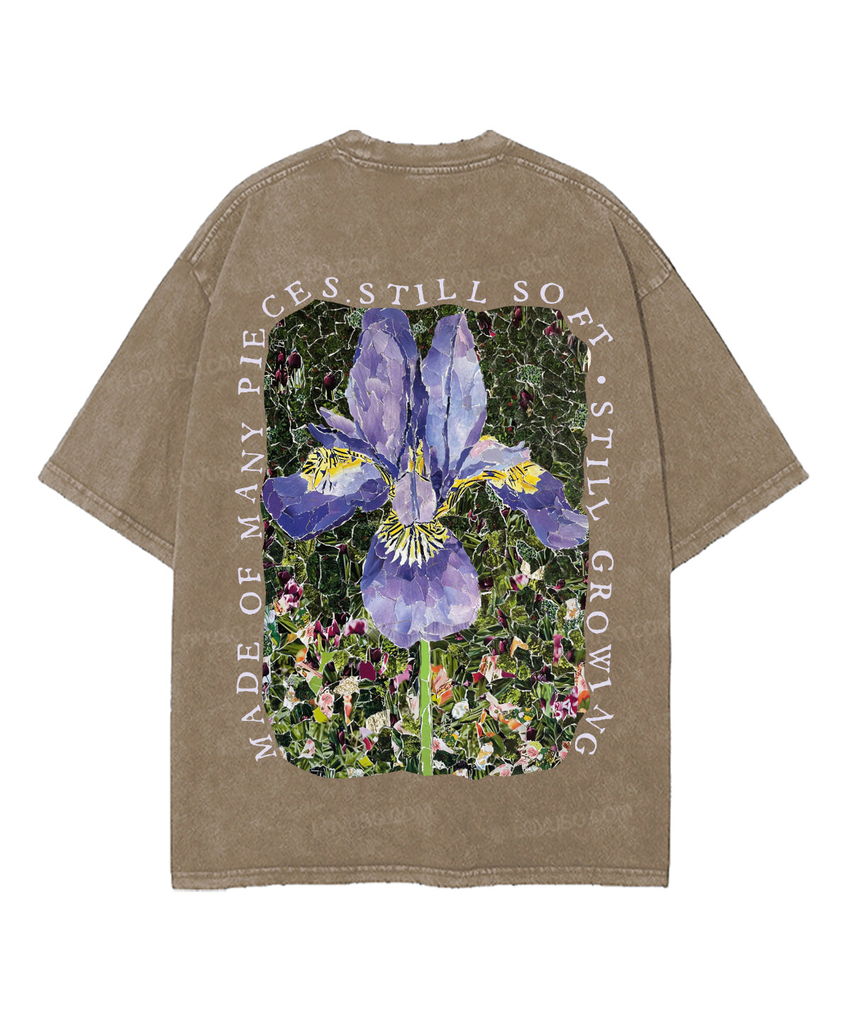 https://jollybell-1326511750.cos.accelerate.myqcloud.com/0/61370b4d2d06466491a5cc413f2799a1.png