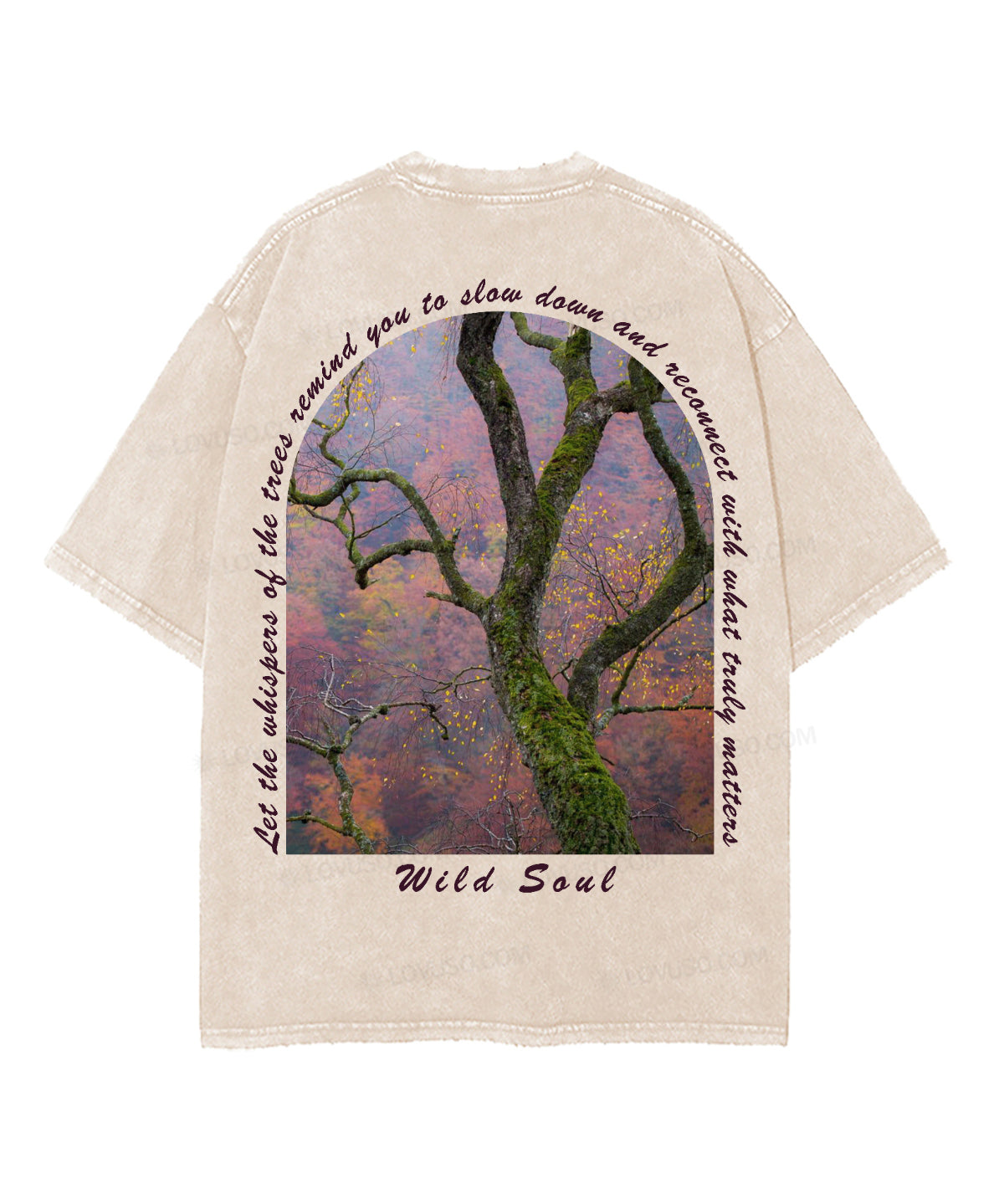 https://jollybell-1326511750.cos.accelerate.myqcloud.com/0/640cb1838d2e4db099985d8503851d44.png