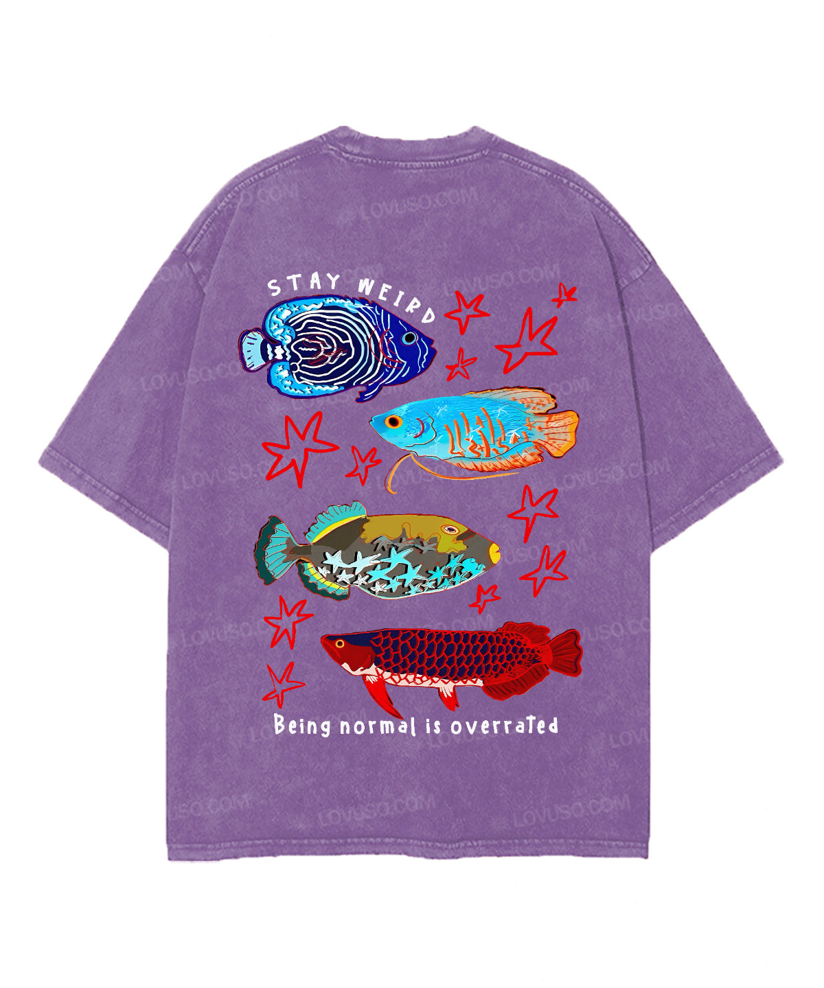 https://jollybell-1326511750.cos.accelerate.myqcloud.com/0/64d1bbb210b34467b06f11ffa21a0309.png