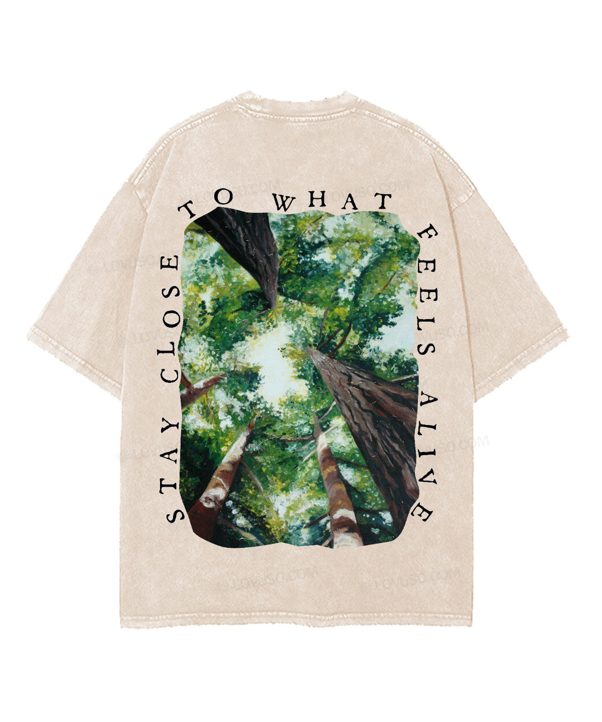 https://jollybell-1326511750.cos.accelerate.myqcloud.com/0/70ad470f5a914ef8abc1146ca8bb606c.png
