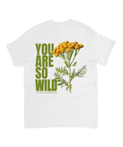 https://jollybell-1326511750.cos.accelerate.myqcloud.com/0/74b19700635a44bc9be5f0b25115bf01.png