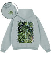 https://jollybell-1326511750.cos.accelerate.myqcloud.com/0/769b3f8dac8a46db8e1e93eb596e6834.png