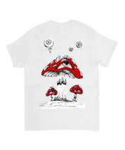 https://jollybell-1326511750.cos.accelerate.myqcloud.com/0/78dd6a039fff48c887b3fa464c49da2e.png