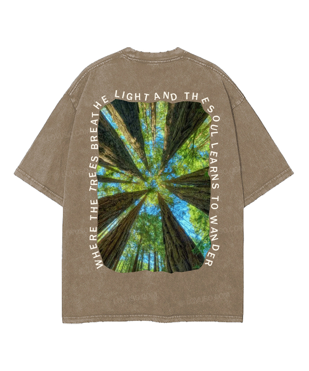 https://jollybell-1326511750.cos.accelerate.myqcloud.com/0/78fc7573c75d4c1885a67bc2911ea6d1.png