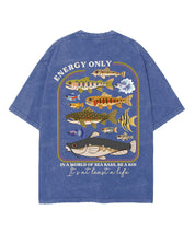 https://jollybell-1326511750.cos.accelerate.myqcloud.com/0/7d1ba70a343d42d4b576eaf529e0ae19.png
