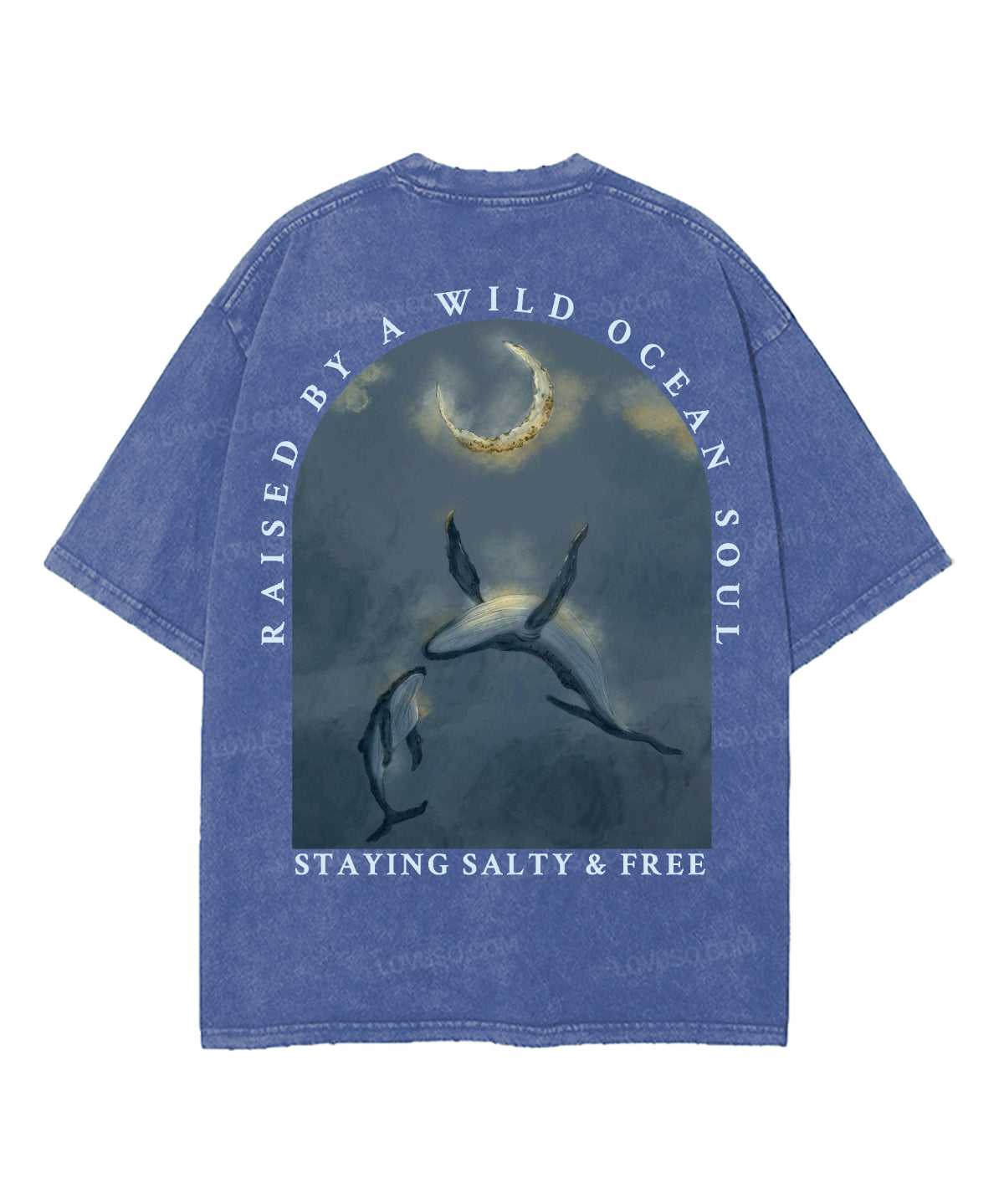 https://jollybell-1326511750.cos.accelerate.myqcloud.com/0/7e5381779e7547a69d69387571a8b915.png