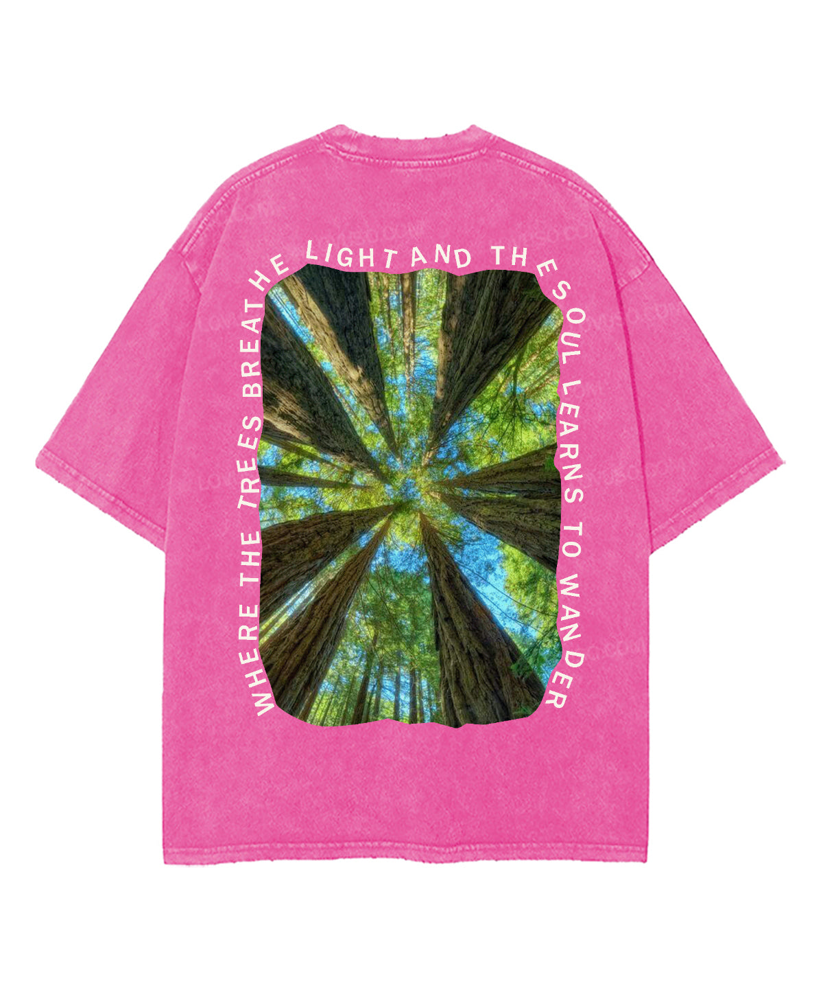 https://jollybell-1326511750.cos.accelerate.myqcloud.com/0/80400c13accb4b4faa3a68801d71e1a8.png