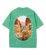 https://jollybell-1326511750.cos.accelerate.myqcloud.com/0/84c2af4e8aed4825b9140998b1fa339f.png