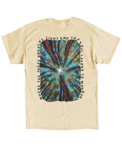 https://jollybell-1326511750.cos.accelerate.myqcloud.com/0/869ae6ec0bb14f48881fad09e0163ec6.png