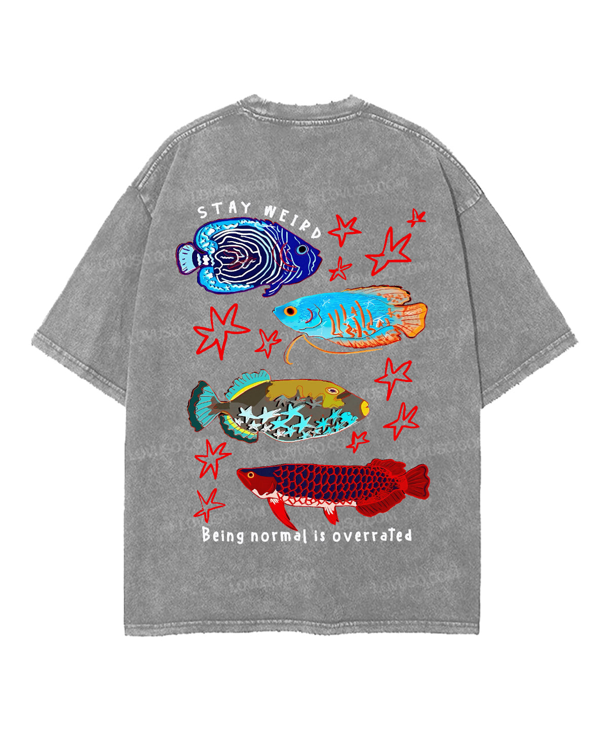 https://jollybell-1326511750.cos.accelerate.myqcloud.com/0/86ada8d3cf374346ac7e1e6d817c1088.png