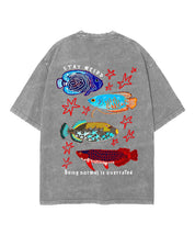 https://jollybell-1326511750.cos.accelerate.myqcloud.com/0/86ada8d3cf374346ac7e1e6d817c1088.png