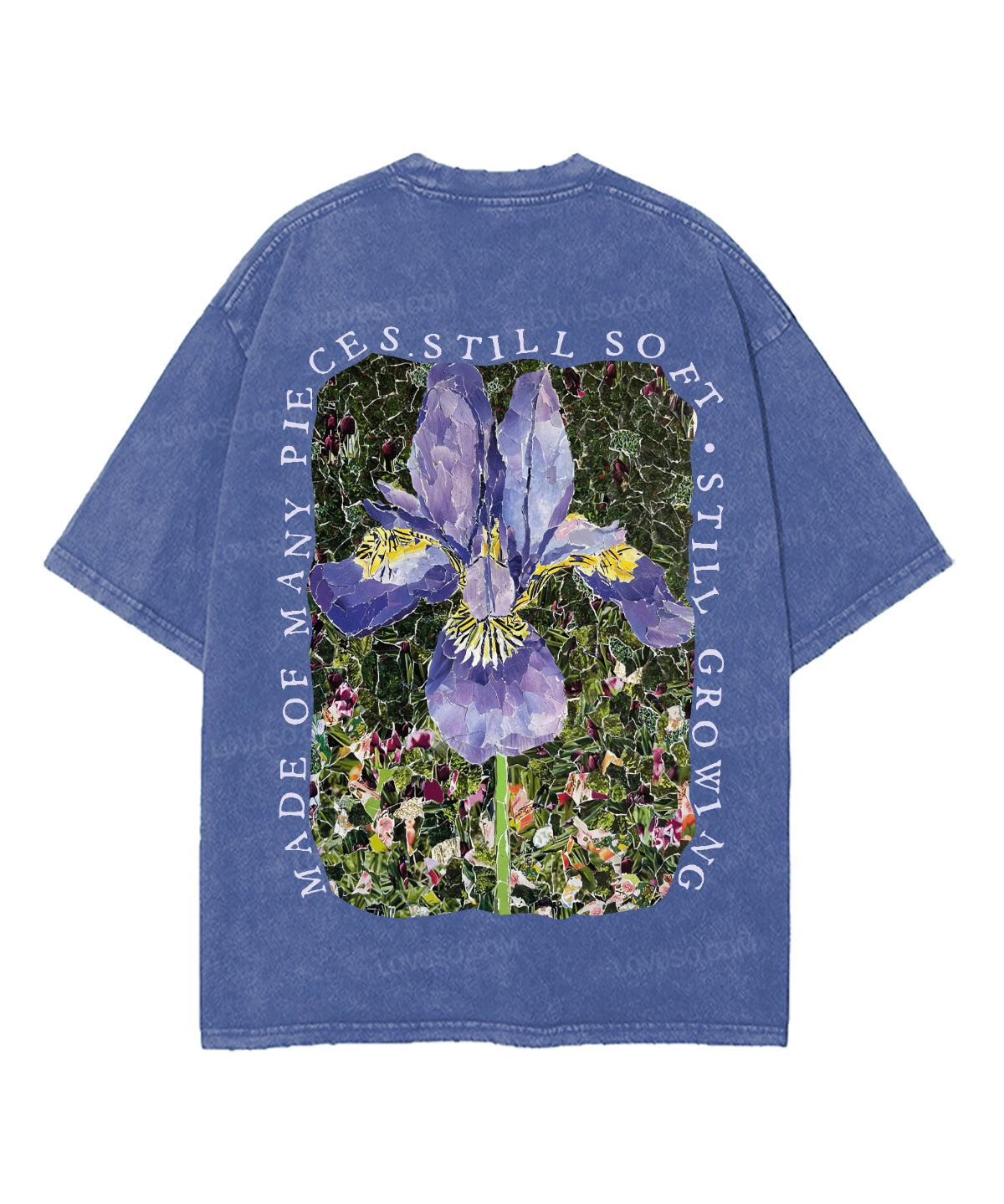https://jollybell-1326511750.cos.accelerate.myqcloud.com/0/870e437aeda9475896fcfddc876a51e0.png