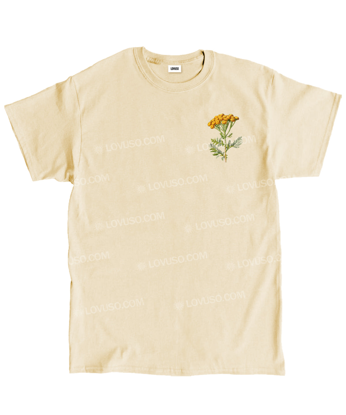 https://jollybell-1326511750.cos.accelerate.myqcloud.com/0/88c9874202164f7f89c07c366d016efc.png