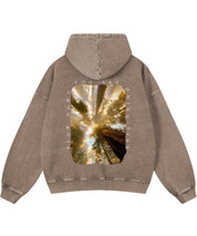 https://jollybell-1326511750.cos.accelerate.myqcloud.com/0/a7e7d5ca3a934dabb049802b424ac9ed.png