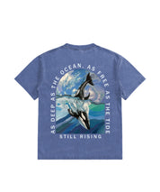 https://jollybell-1326511750.cos.accelerate.myqcloud.com/0/b63ee6392c354c7a89b09ca150dfccce.png