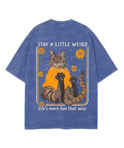 https://jollybell-1326511750.cos.accelerate.myqcloud.com/0/b770a9103e584d23bb0b9231076d7456.png
