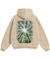 https://jollybell-1326511750.cos.accelerate.myqcloud.com/0/b98f12cc66ef4321a18114eb9cae6c75.png
