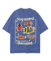 https://jollybell-1326511750.cos.accelerate.myqcloud.com/0/bb304032f4d1422a868b7367a7b6c2a6.png