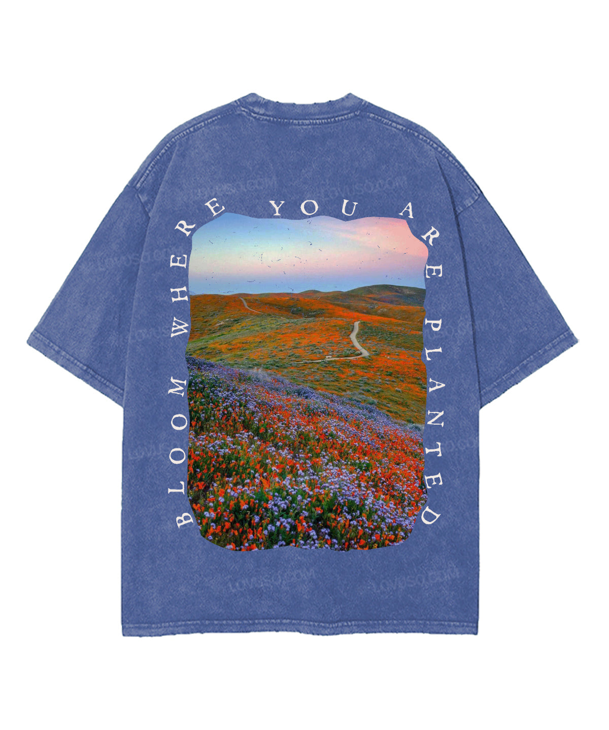 https://jollybell-1326511750.cos.accelerate.myqcloud.com/0/c2acfec2a0c142249fbacb77e63e19bc.png