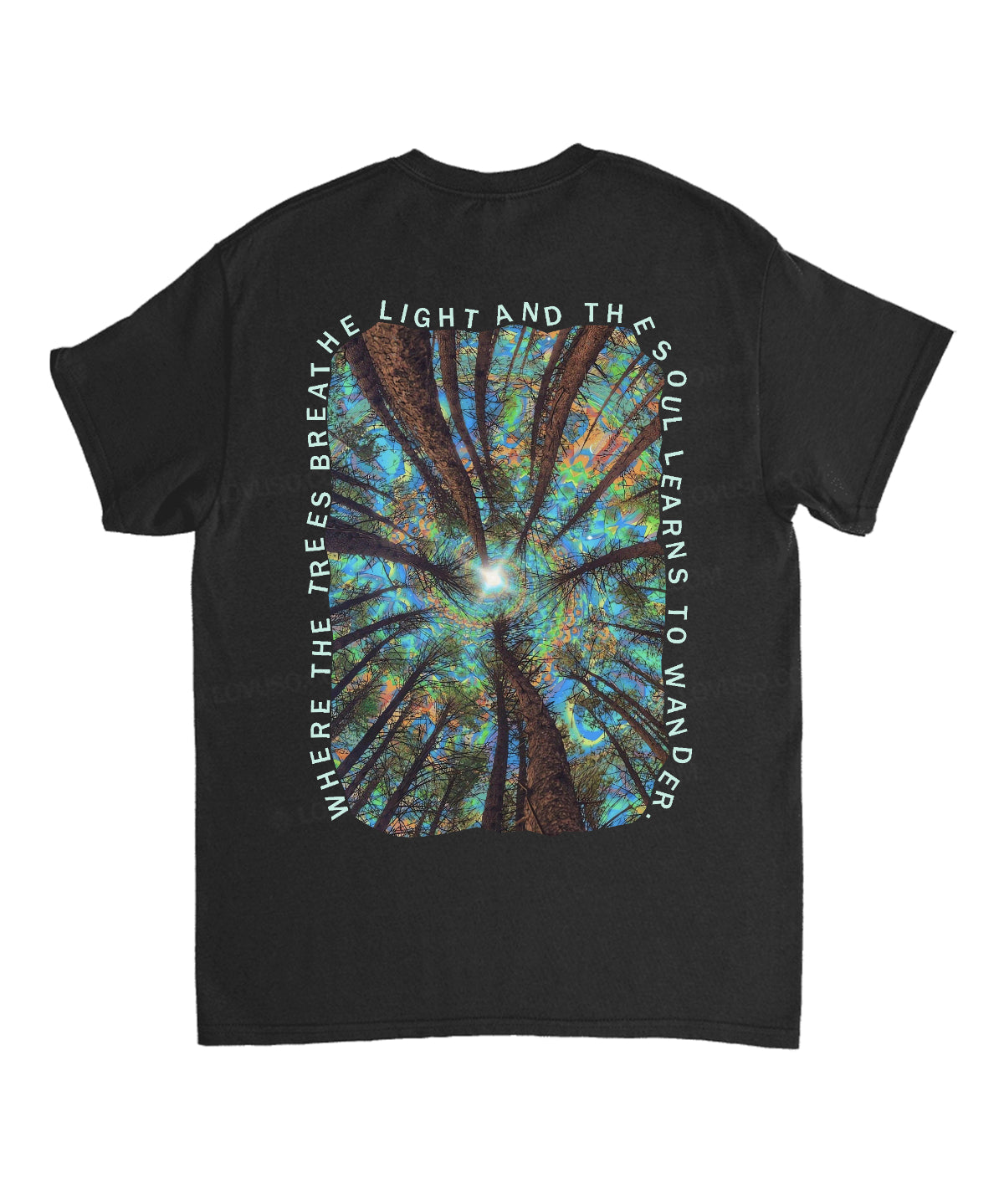 https://jollybell-1326511750.cos.accelerate.myqcloud.com/0/c4122be13358413eaf1e41d5a64f4b87.png