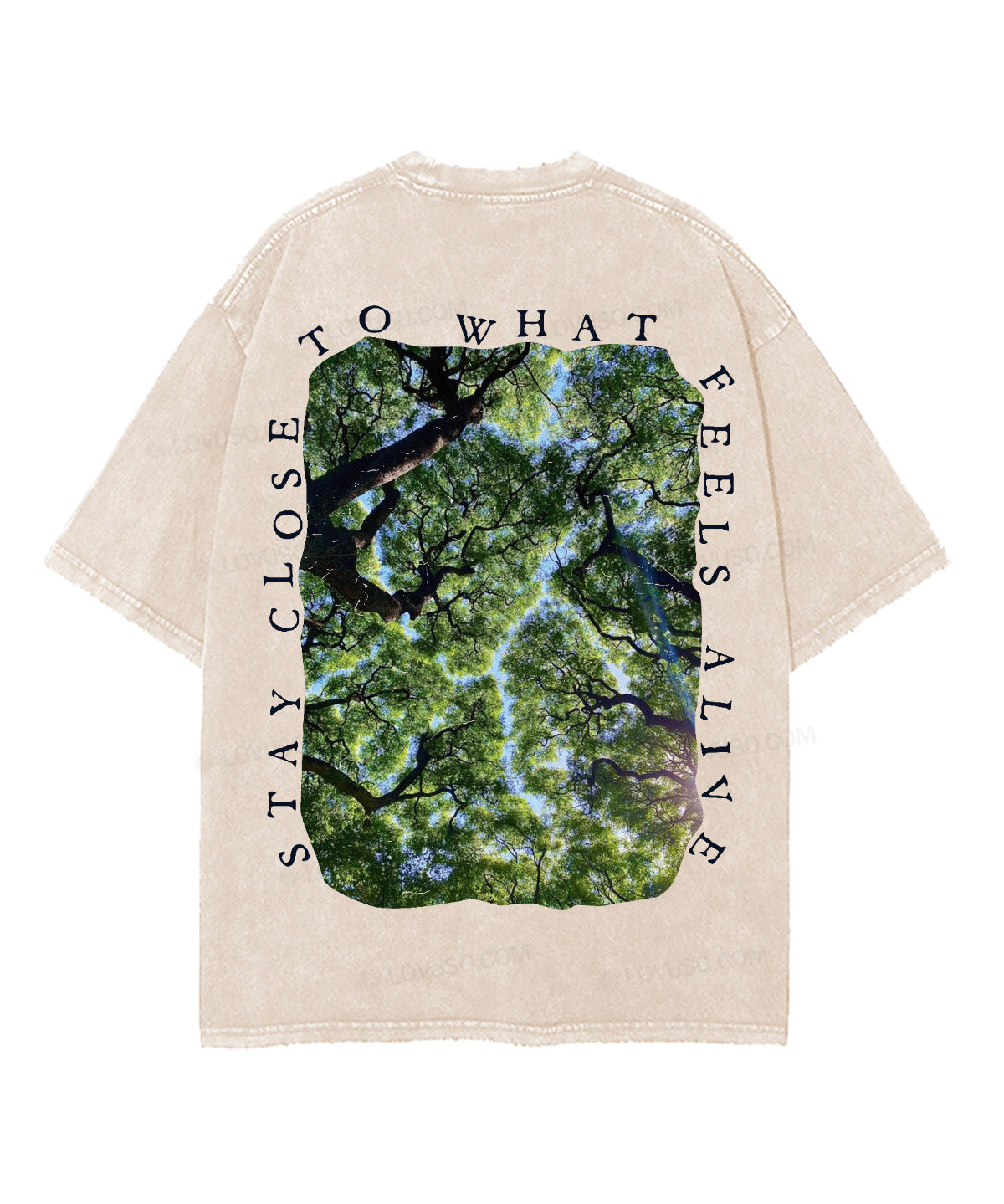 https://jollybell-1326511750.cos.accelerate.myqcloud.com/0/cc48fabf4a6947d28329fedbd4f80435.png