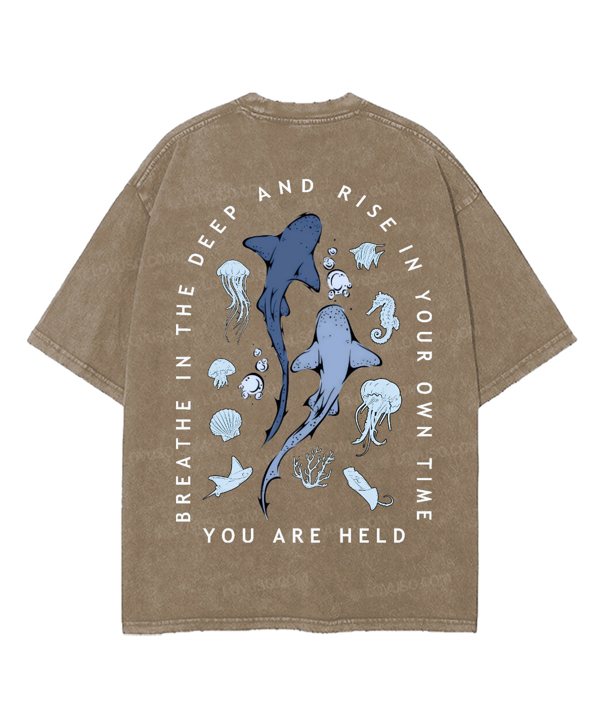 https://jollybell-1326511750.cos.accelerate.myqcloud.com/0/d9b4dbb187ce4f319a9dcdf662ce2096.png