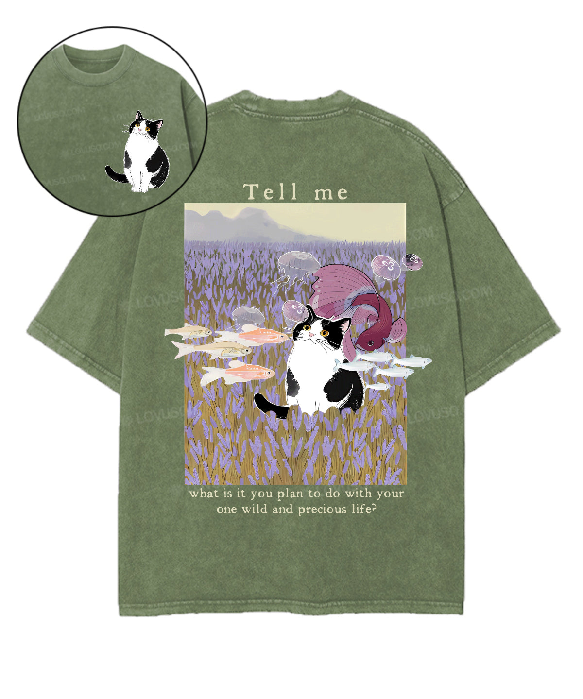 https://jollybell-1326511750.cos.accelerate.myqcloud.com/0/defad5e267c34e0dbe943d416804c929.png