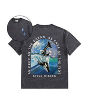 https://jollybell-1326511750.cos.accelerate.myqcloud.com/0/e7687241aca74270a80f8e61c697105f.png