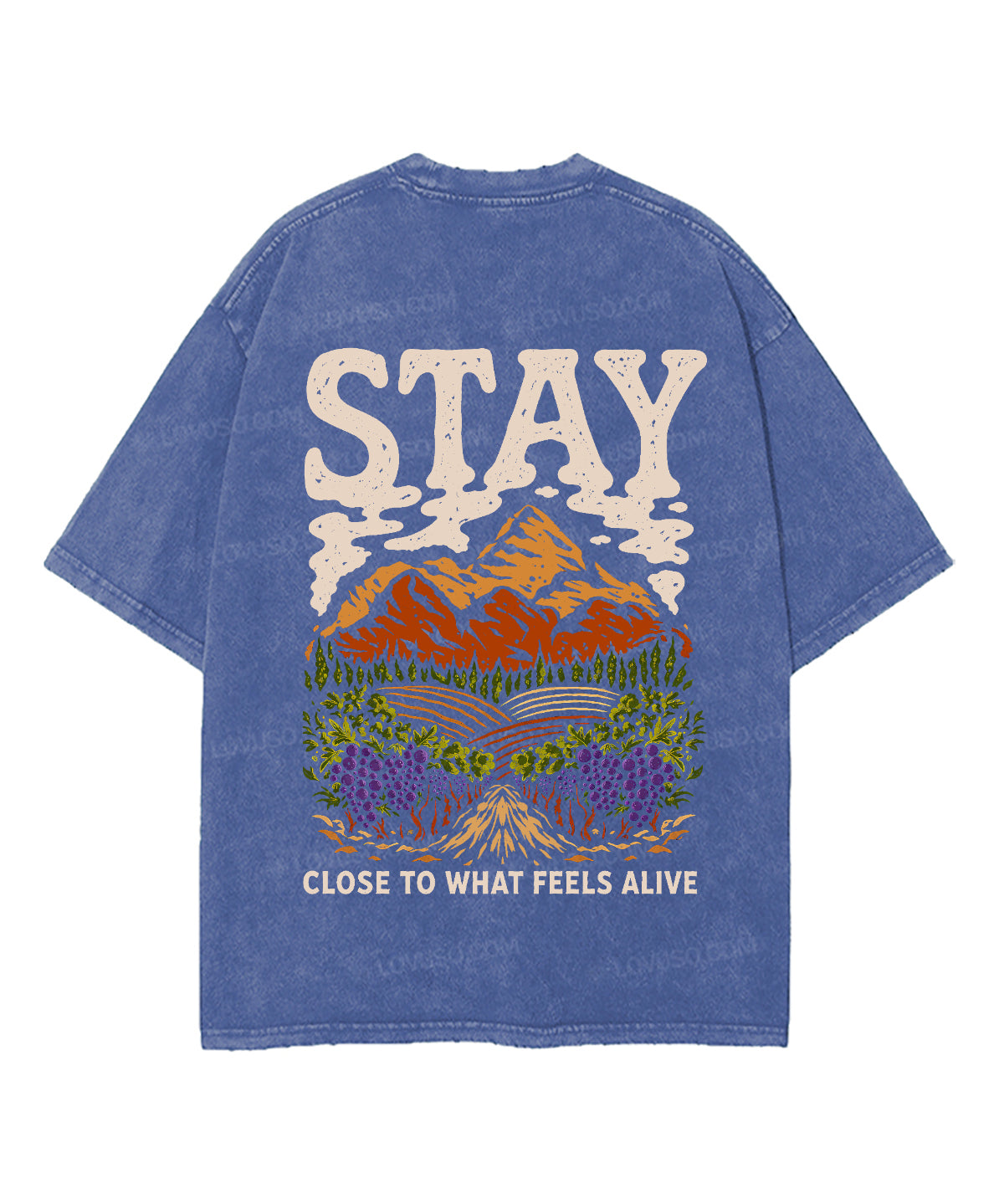 https://jollybell-1326511750.cos.accelerate.myqcloud.com/0/fbb8773aa8944a8fa117e8696385e5d1.png